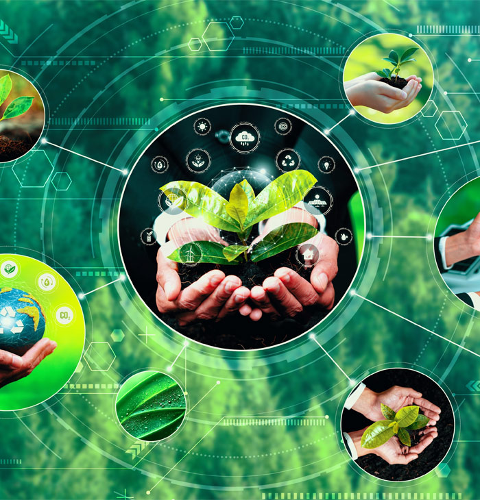 Consultoria Ambiental