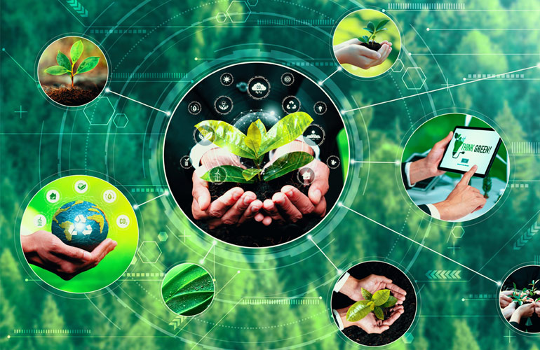 Consultoria Ambiental