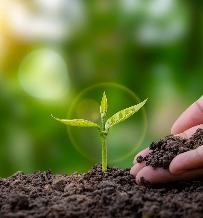 Serviços de Gestão Ambiental